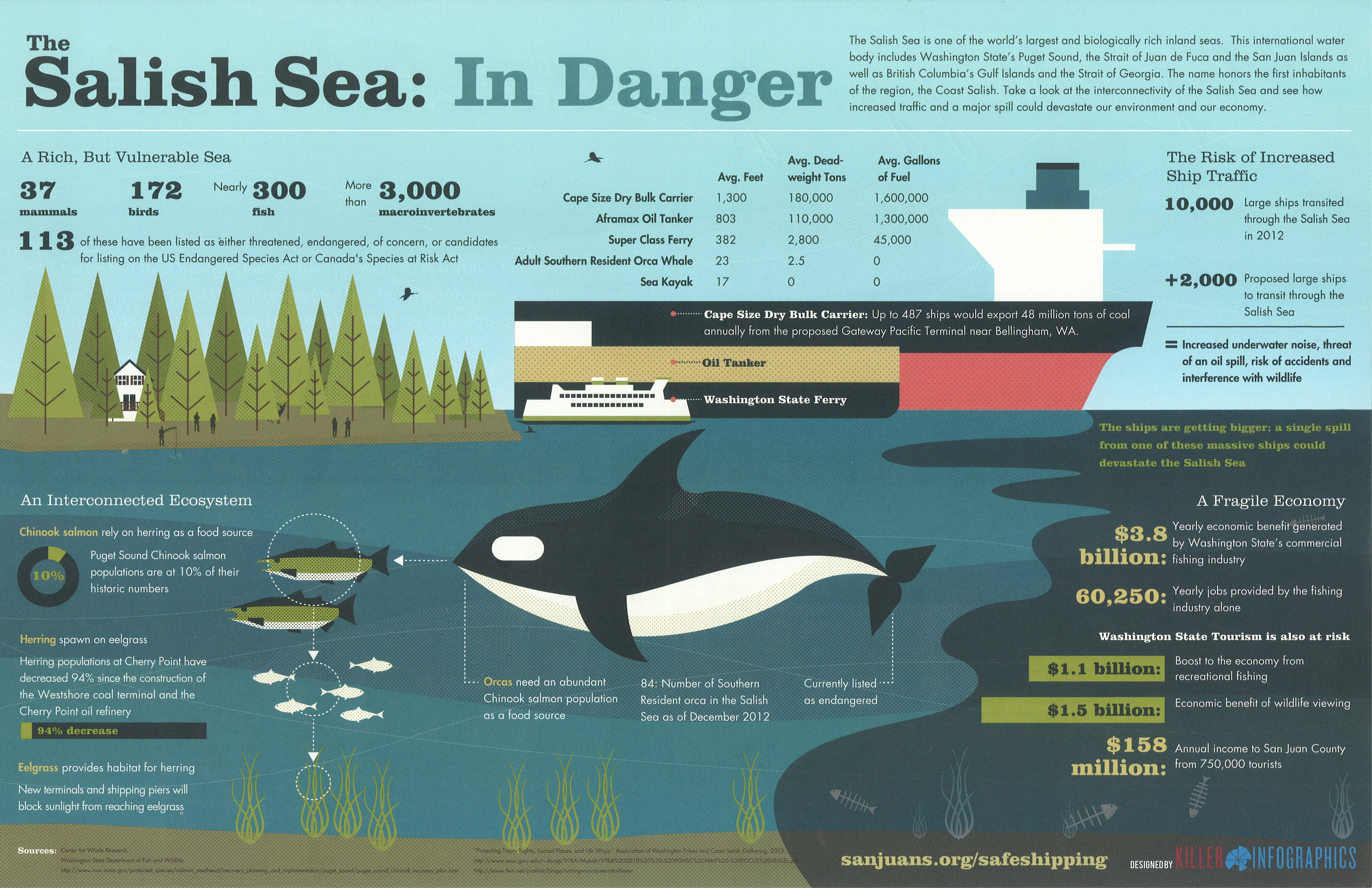 Salish Sea in Danger