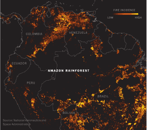 Burning for Profit in Brazil