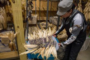 Indigenous Corn Keepers are Helping Communities Recover and Reunite With Their Traditional Foods