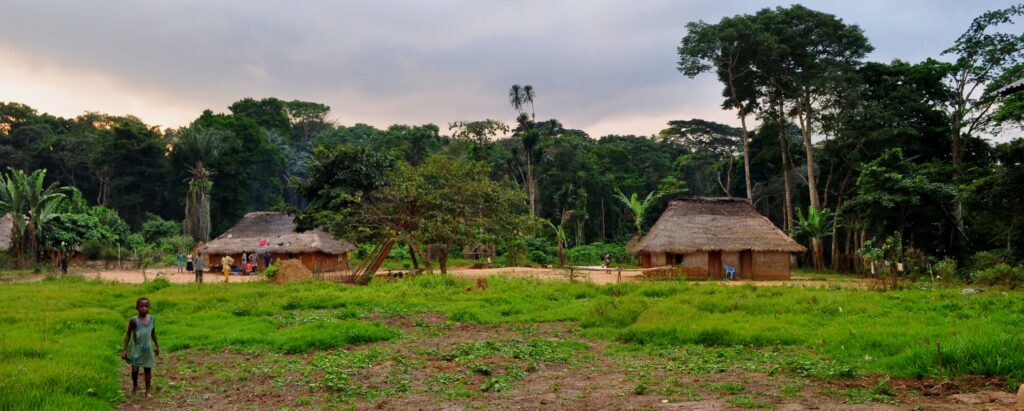 The REDD+ Initiatives in the DR Congo