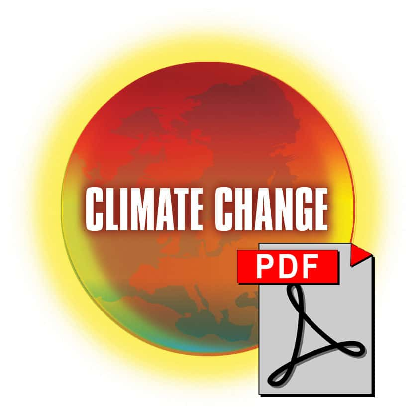 Statement of the International Forum of Indigenous Peoples on Climate Change (English)